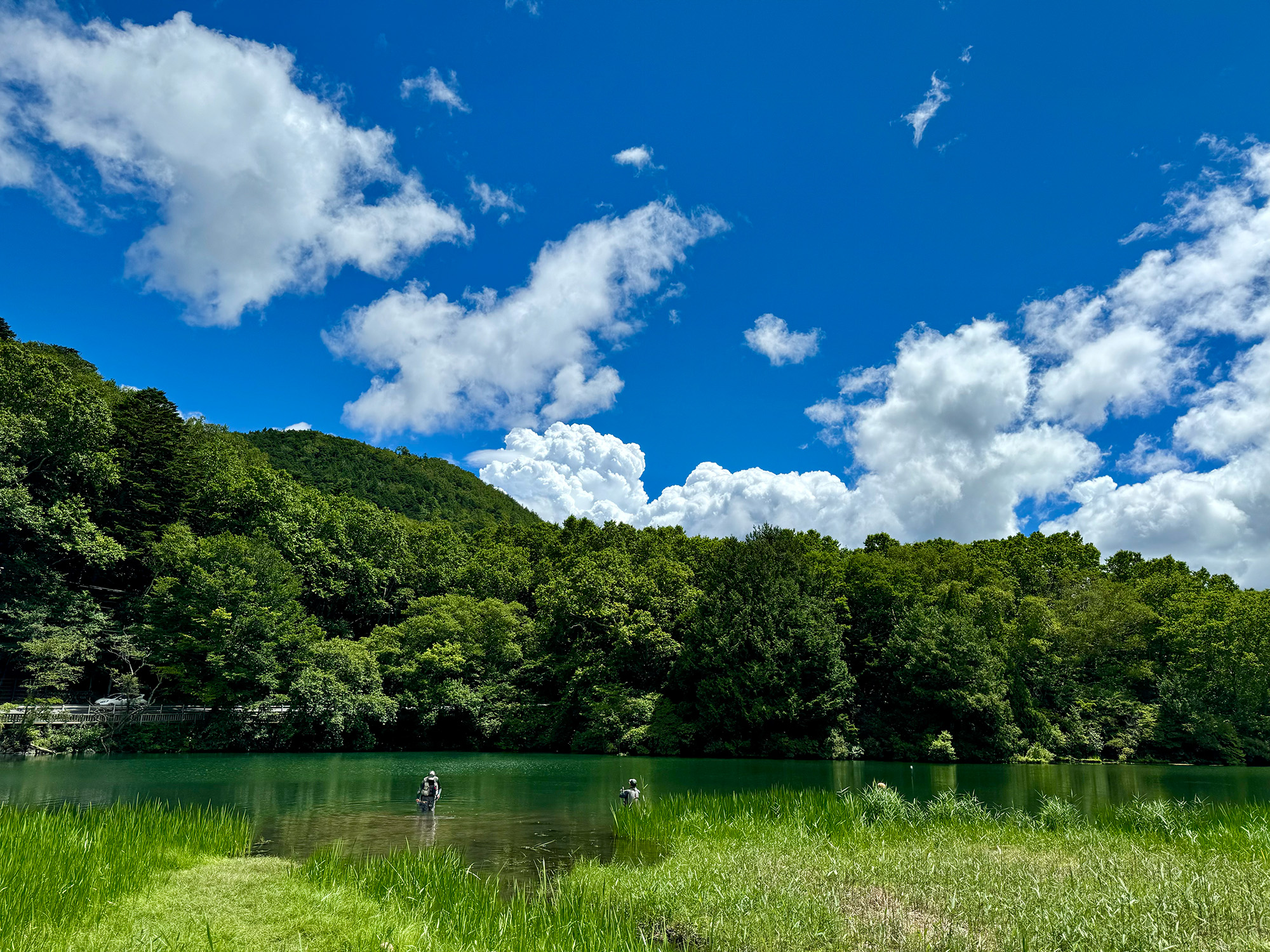 Featured image for “湯ノ湖散策　湯滝の迫力に圧倒される　日光”